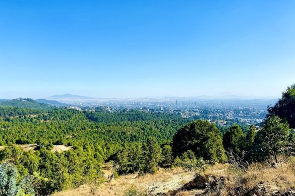Gulele Botanical Garden - SillySuitcase