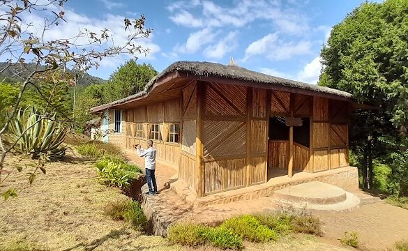 Gullele Botanical Garden Administrative Offices - SillySuitcase