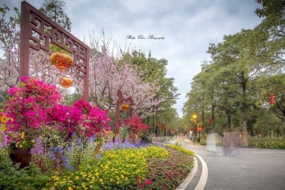 Haizhu Lake - SillySuitcase