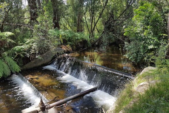 Healesville Sanctuary Zoos Victoria - SillySuitcase