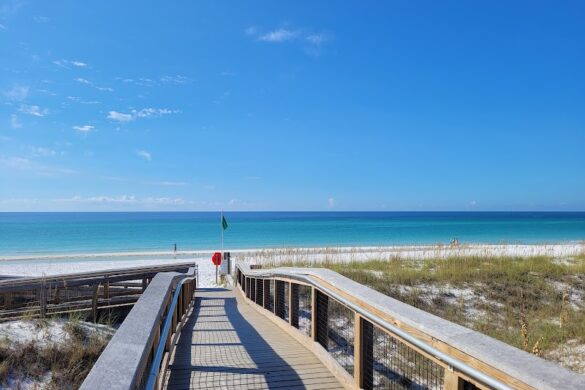 Henderson Beach State Park - SillySuitcase