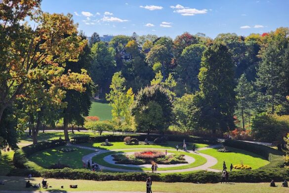 High Park - SillySuitcase
