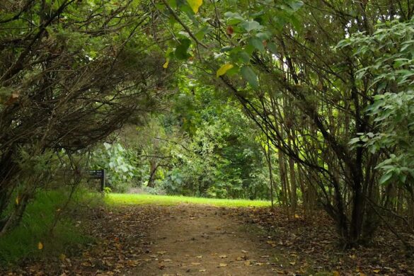 Hinterland Regional Park - SillySuitcase