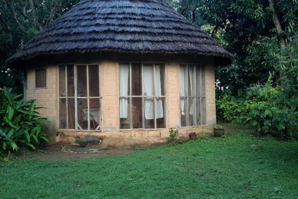 Hope Eden Farm And Community Initiative - SillySuitcase