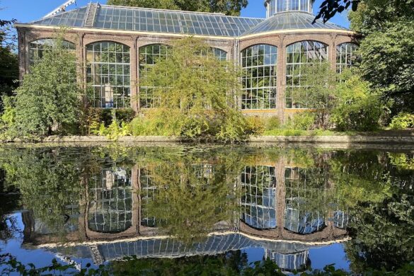 Hortus Botanicus - SillySuitcase