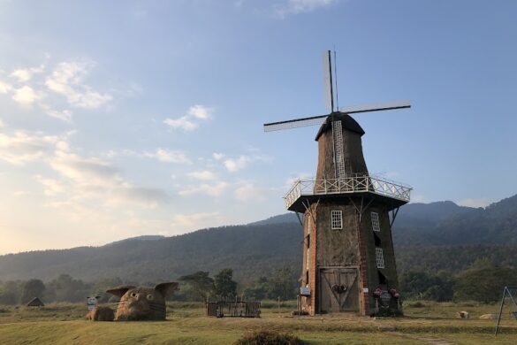 Huai Tueng Thao Sheep Farm - SillySuitcase