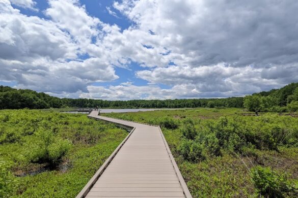 Huntley Meadows Park - SillySuitcase