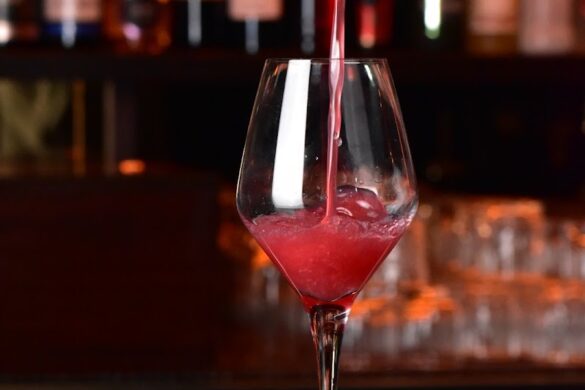 Iguana Lounge - SillySuitcase