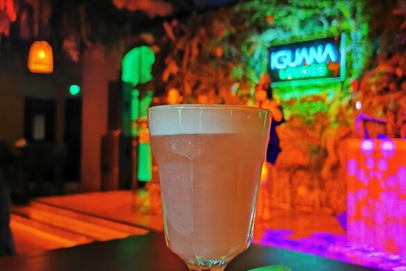 Iguana Lounge - SillySuitcase