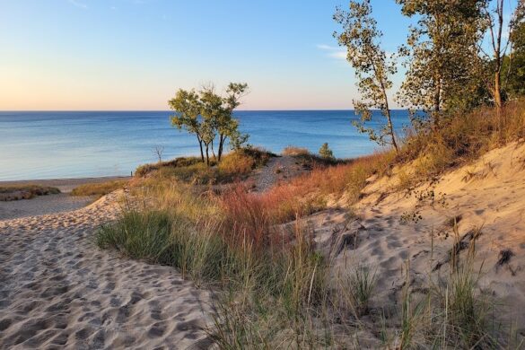 Indiana Dunes State Park - SillySuitcase