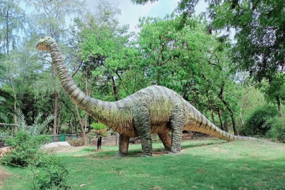 Indroda Nature Park - SillySuitcase
