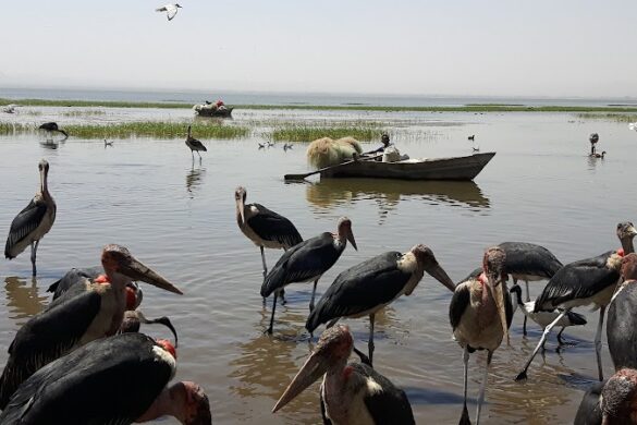 Inside Ethiopia Tours - SillySuitcase