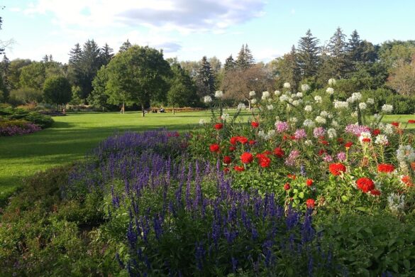 James Gardens - SillySuitcase