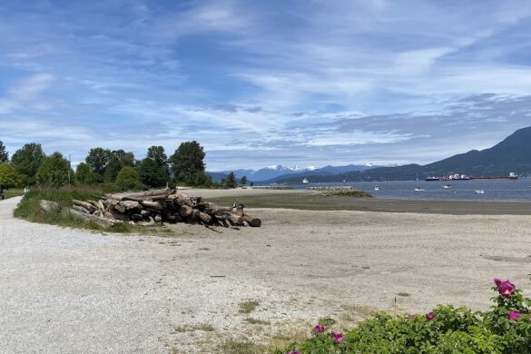 Jericho Beach Park - SillySuitcase