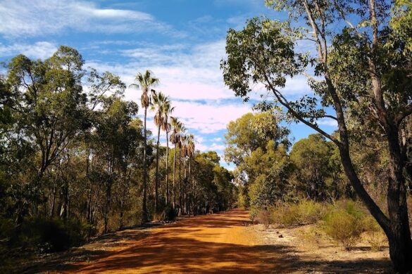 John Forrest National Park - SillySuitcase