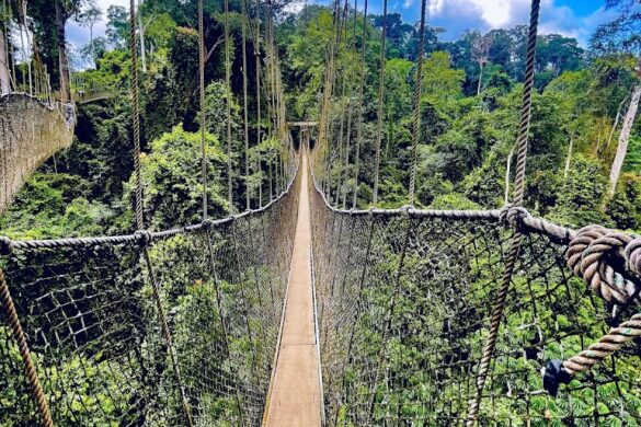 Kakum National Park - SillySuitcase