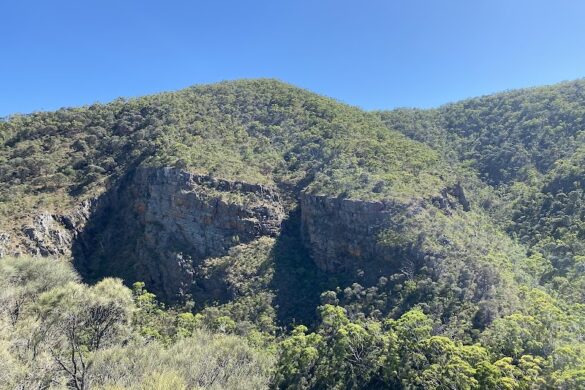 Kookaburra Rock - SillySuitcase