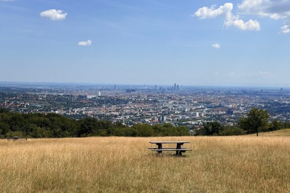 Lainzer Tiergarten - SillySuitcase