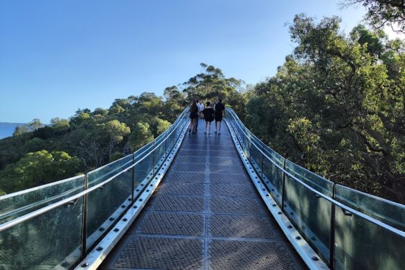 Lotterywest Federation Walkway - SillySuitcase