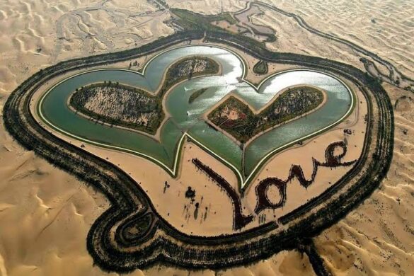 Love Lake - SillySuitcase