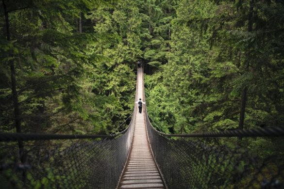 Lynn Canyon Suspension Bridge - SillySuitcase