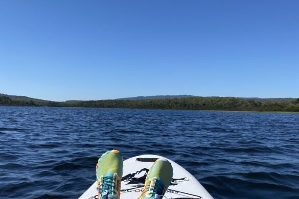 Lysterfield Lake Parks Victoria - SillySuitcase