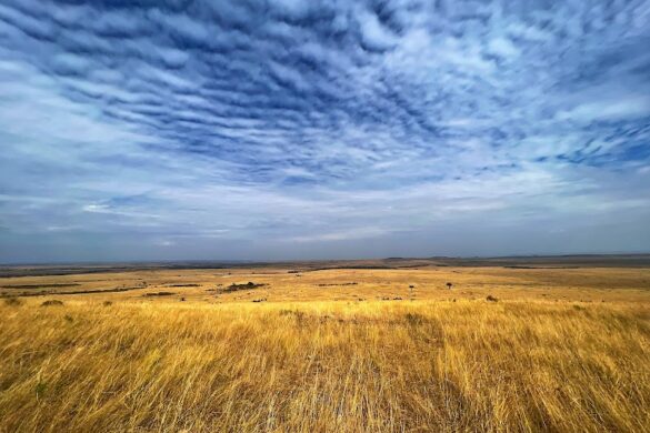 Maasai Mara National Reserve - SillySuitcase