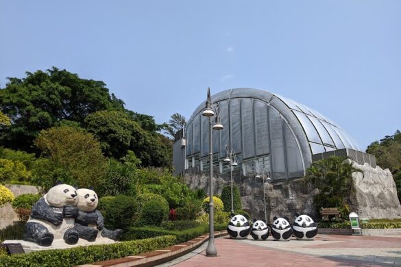 Macao Giant Panda Pavilion - SillySuitcase