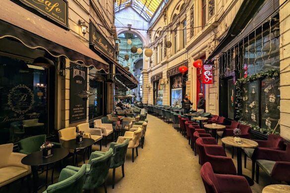 Macca Vilacrosse Passage - SillySuitcase