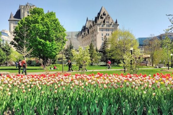 Major S Hill Park - SillySuitcase