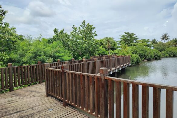 Matagialalua Friendship Park - SillySuitcase