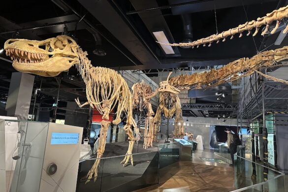 Melbourne Museum - SillySuitcase