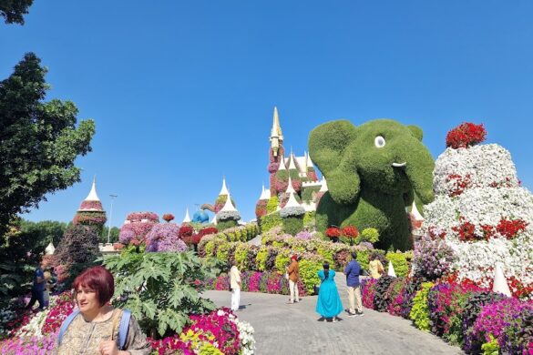 Miracle Garden Airplane Flowers - SillySuitcase