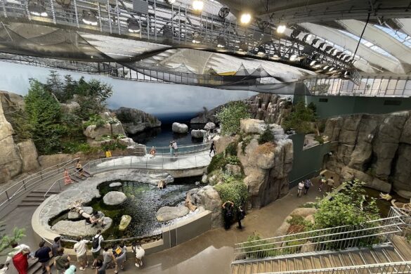 Montreal Biodome - SillySuitcase