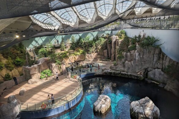 Montreal Biodome - SillySuitcase