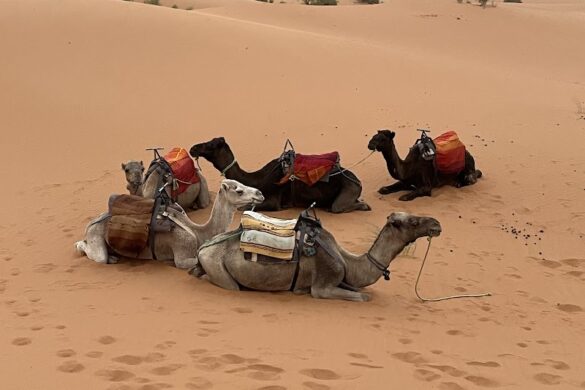 Morocco Culture Travel - SillySuitcase