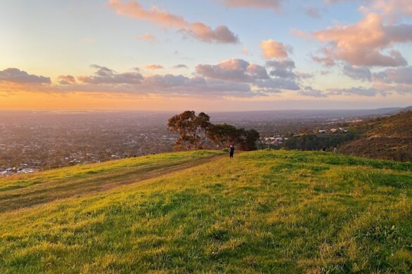 Mount Osmond Reserve - SillySuitcase