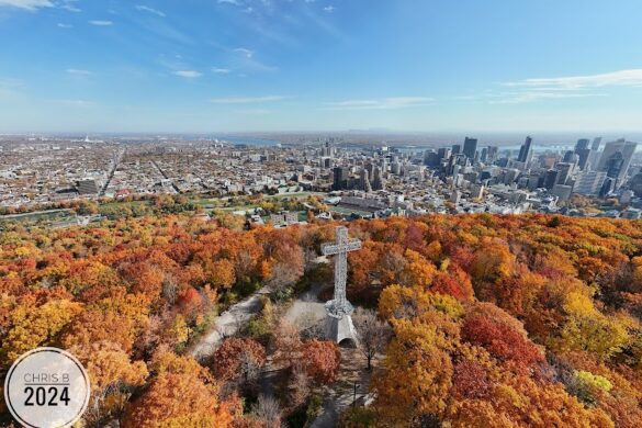 Mount Royal Cross - SillySuitcase