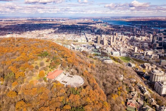 Mount Royal Park - SillySuitcase