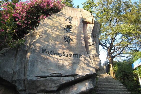 Moxing Summit - SillySuitcase