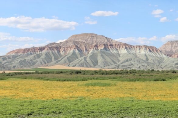 Nall Han Bird Sanctuary - SillySuitcase