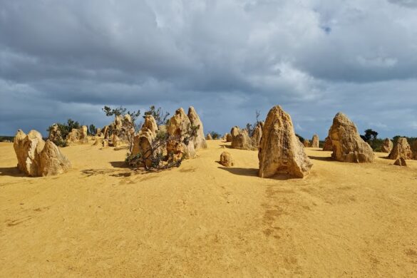 Nambung National Park - SillySuitcase