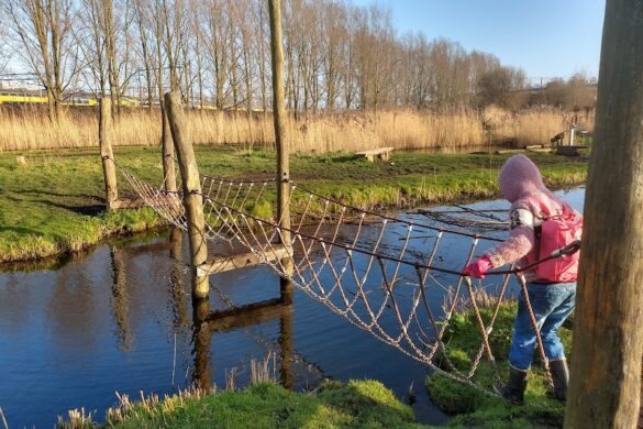 Nature Playground - SillySuitcase