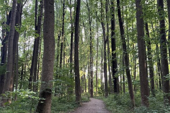Nottoway Park - SillySuitcase
