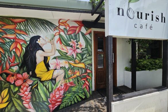 Nourish Caf - SillySuitcase