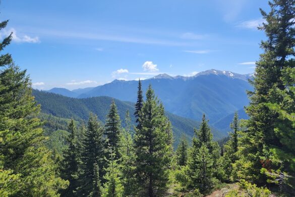Olympic National Park - SillySuitcase