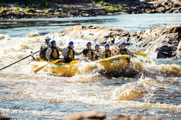 Owl Rafting On The Ottawa River - SillySuitcase