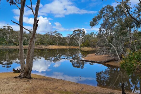 Para Wirra Conservation Park - SillySuitcase