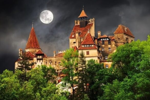 Piatra Craiului National Park - SillySuitcase