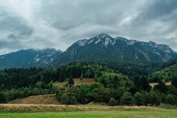 Piatra Craiului National Park Visitor Center - SillySuitcase